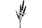 Decorative Tribal Feather Vector, an Object Graphic by Designer_Momina (Thumbnail 8 of 18)