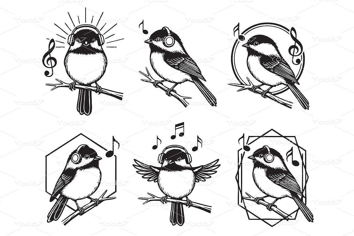 Set of cute black-capped chickadees, an Animal Illustration by yod67
