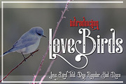 Special Collection 20 Font Bundle, a Blackletter Font by Bramcreative (Thumbnail 5 of 10)
