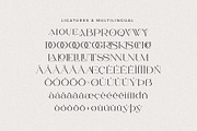 Larisa - Stylish Serif Font, a Serif Font by Aqeel_Art (Thumbnail 9 of 9)