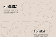 GC Amelie Promised – Italic Serif, a Serif Font by Glyphonic (Thumbnail 9 of 15)
