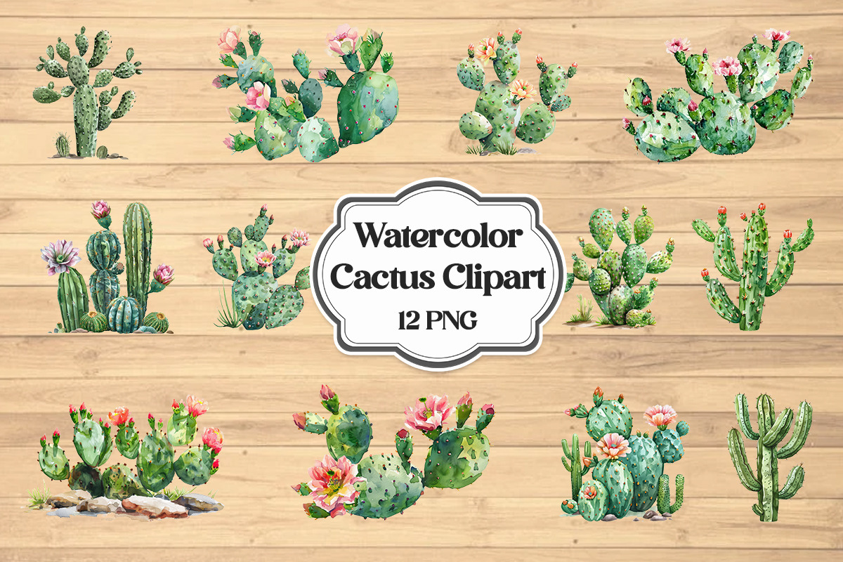 Cactus PNG Clipart Set, Exotic Plants