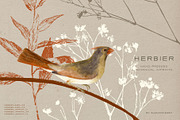 Hand-Pressed Botanical Imprints, an Object Graphic by alonahaidash (Thumbnail 11 of 13)