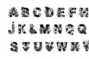Beautiful flower alphabet set floral, an Illustration by Amazin_art (Thumbnail 12 of 31)