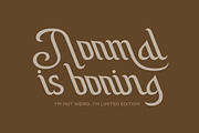 Pollemik - Vintage Script Font, a Script Font by Imoodev (Thumbnail 3 of 5)