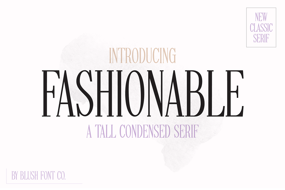 FASHIONABLE Tall Condensed Serif, a Serif Font by Blush Font Co. (Photo 1 of 5)