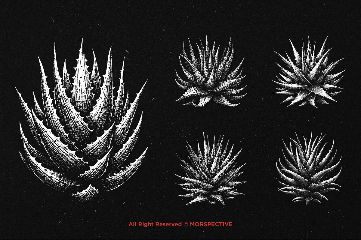 10 Bundle Dark Art Aloe Vera Cactus, an Illustration by Morspective (Photo 3 of 7)