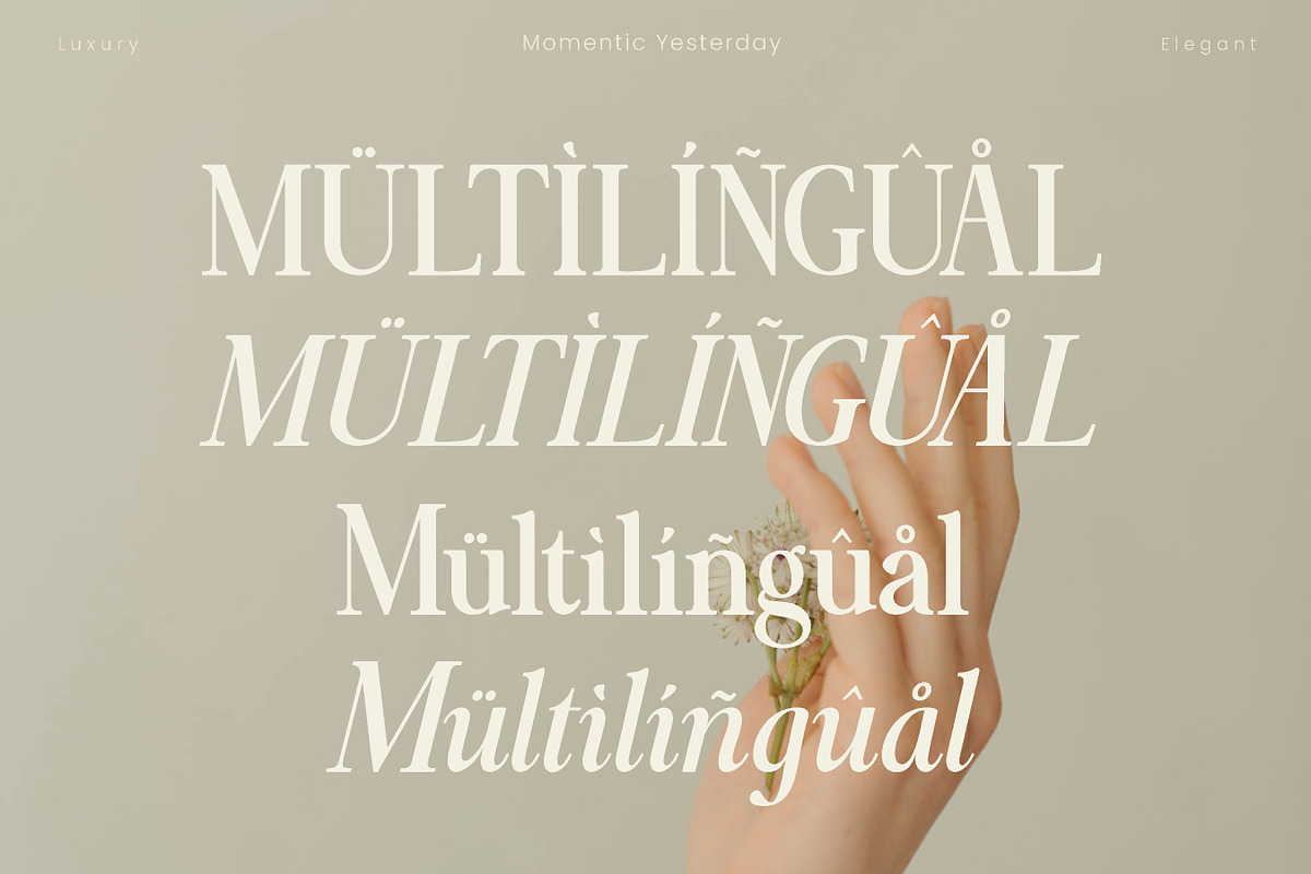 Momentic Yesterday, a Serif Font by Flawless And Co (Photo 4 of 6)