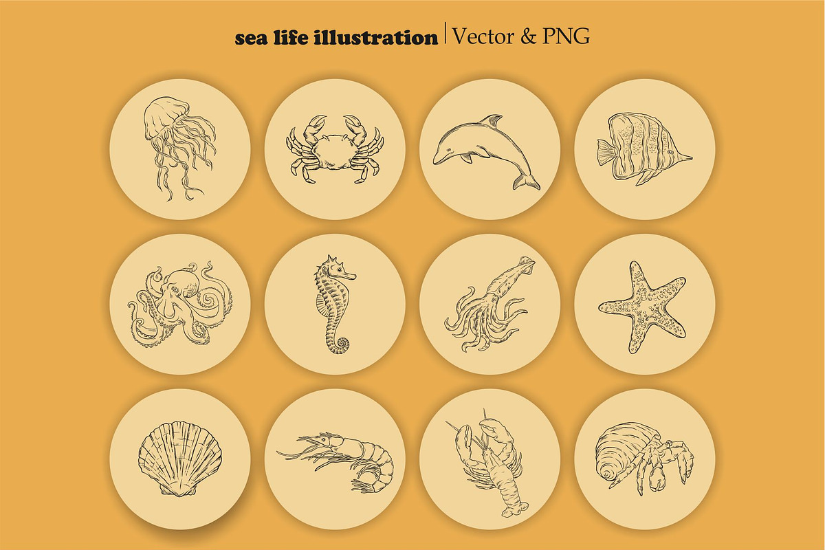 Sea Life - SVG, Vector , & PNG, an Illustration by Ben studio (Photo 3 of 4)