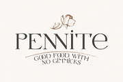 Letterature ligature serif font, a Serif Font by kaer_shop (Thumbnail 4 of 12)