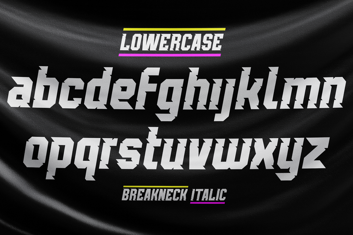 Breakneck Font Duo, a Sans Serif Font by Alphabet Agency (Photo 3 of 12)