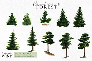 Forest Landscape Clipart Watercolor