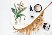 Tropical rainforest clip art set, a Seasonal Illustration by FleurArt (Thumbnail 10 of 12)