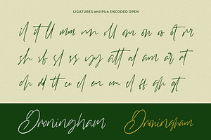 Williamson - Luxury Signature Font