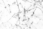 Folded paper textures volume 01, a Texture Graphic by The Shop (Thumbnail 16 of 20)