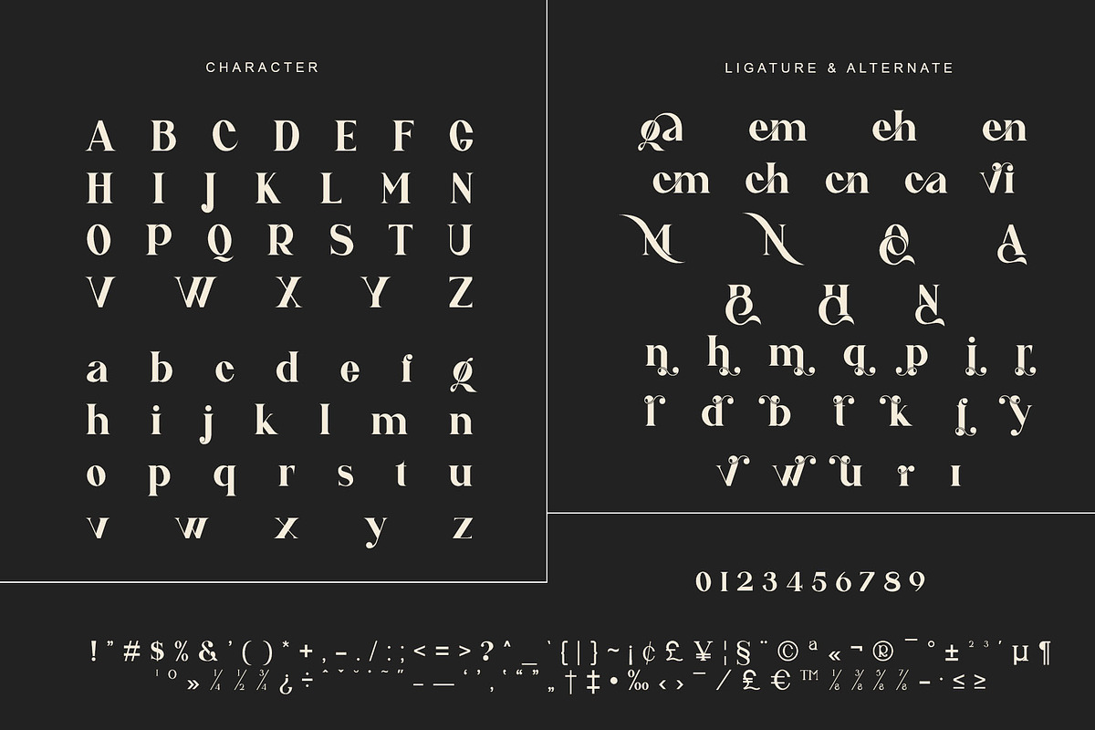 Hevin Ligature Serif Typeface, a Serif Font by yaqublekker (Photo 9 of 10)
