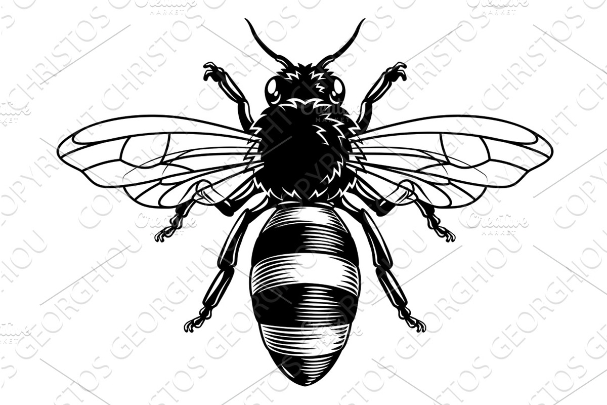 Queen Bumble Bee Honeybee Vintage, an Illustration by Christos Georghiou