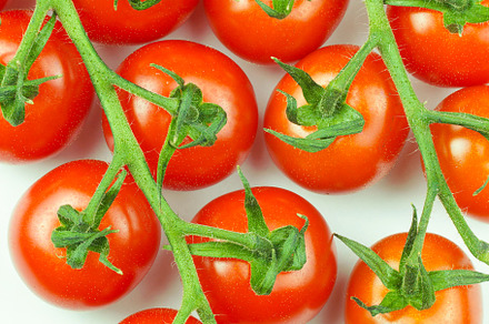 Branches of fresh cherry tomatoes is, a Food & Drink Photo by AlexBush