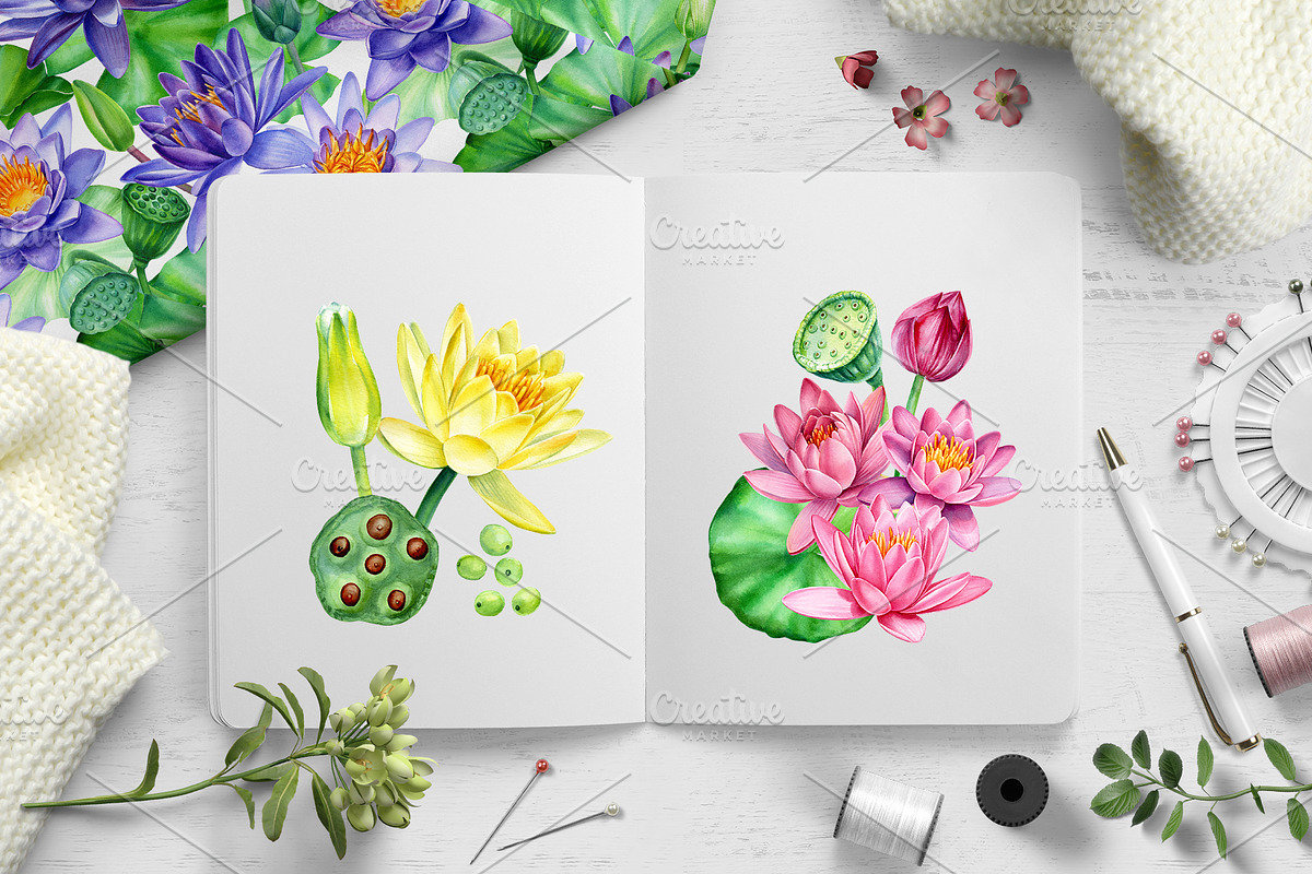Lotus flowers and koi fish, an Animal Illustration by Hanna Hryharenka (Photo 9 of 13)
