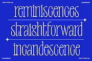 TAN-OAKRIDGE, a Sans Serif Font by TanType (Thumbnail 4 of 10)