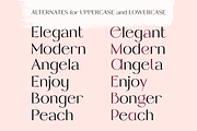 Pink Salt, a Sans Serif Font by Almond Type (Thumbnail 8 of 15)