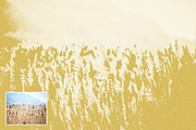 RISOGRAIN Flattener Photoshop Effect, a Templates & Theme by velvetmade.designs (Thumbnail 5 of 9)