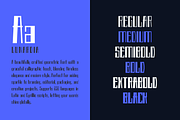 Lunardia Font Family (12 Fonts), a Sans Serif Font by alpercakici (Thumbnail 12 of 18)