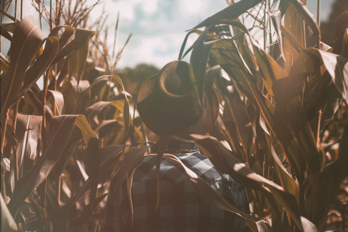 Sale - 240 Light Leak Bundle, a Texture Graphic by Neo Ink Design (Photo 8 of 12)