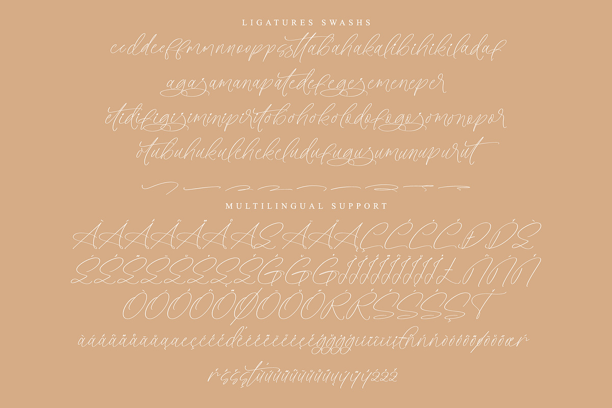 Styelad Initials, a Handwritten Font by operatype.co (Photo 9 of 15)