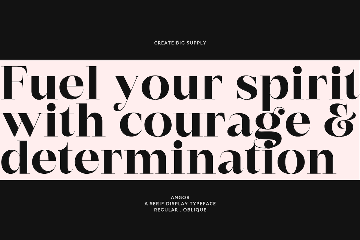 Angor, a Sans Serif Font by CreateBigSupply (Photo 4 of 8)