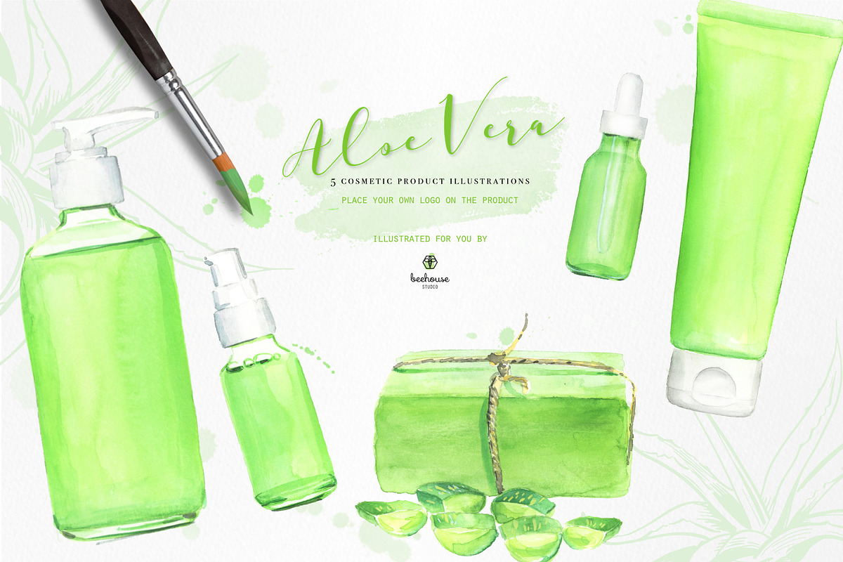 Fresh Watercolor Aloe Vera Set, a Healthcare Illustration by beehouse studio (Photo 3 of 9)