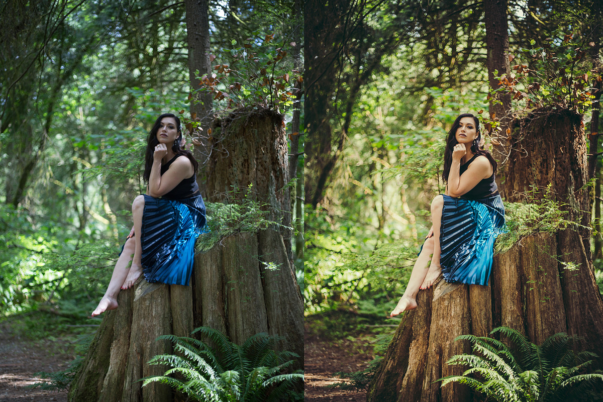 Magical Woods 10 Lightroom presets, an Action Add-On by Graphics, Presets, Photos (Photo 5 of 9)