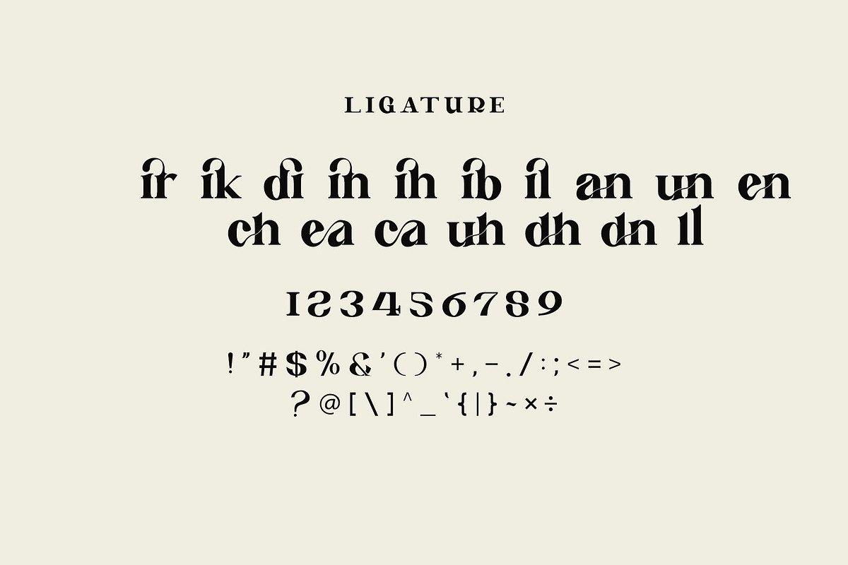 Bincal Ligature Serif Typeface, a Serif Font by Humaira_std (Photo 7 of 8)