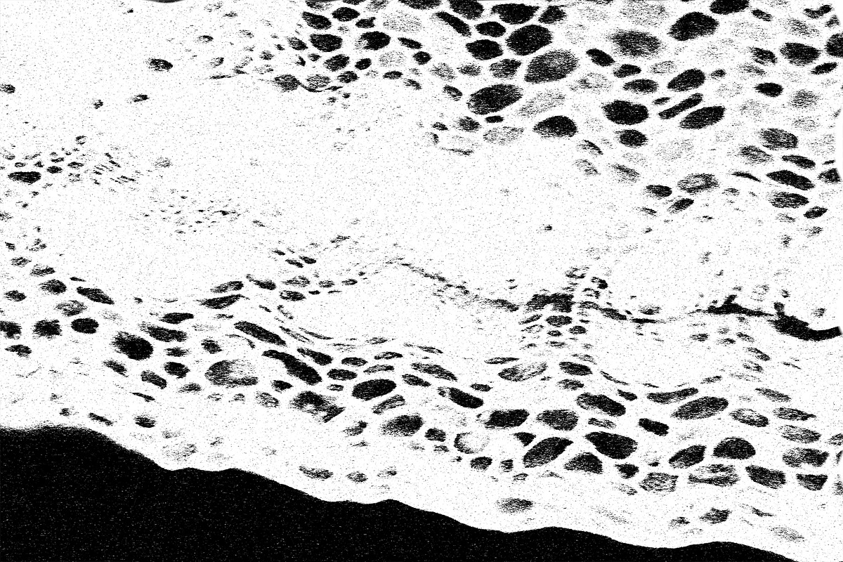 Frenzy Vol 2, a Texture Graphic by Jennifer Lauren Creative (Photo 4 of 16)