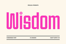 Wisdom – Condensed Font