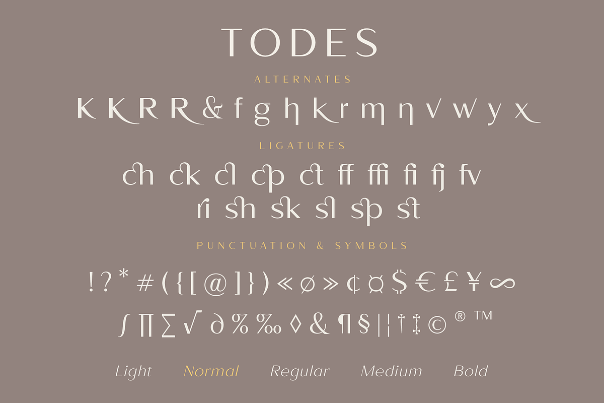 Todes, a Sans Serif Font by Larin Type Co. (Photo 15 of 15)