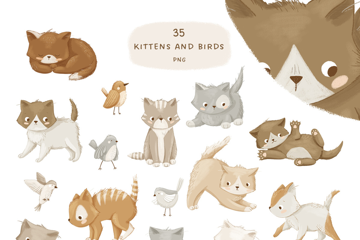 Floral kittens - clipart & patterns, an Animal Illustration by polikarpovaart (Photo 13 of 15)