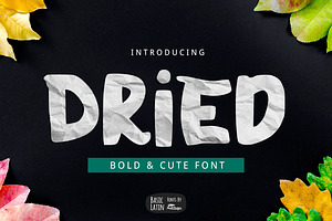 Dried Bold Font