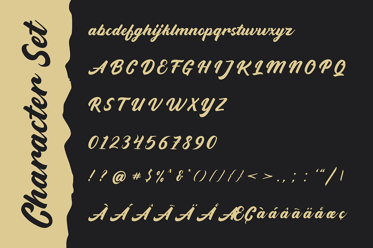 Widati Script Clean & Rough + Bonus, a Script Font by Mbonster Design Studio (Photo 4 of 10)