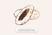 Exotic fruits Illustrations, a Food Illustration by MargauxQuercy (Thumbnail 3 of 4)