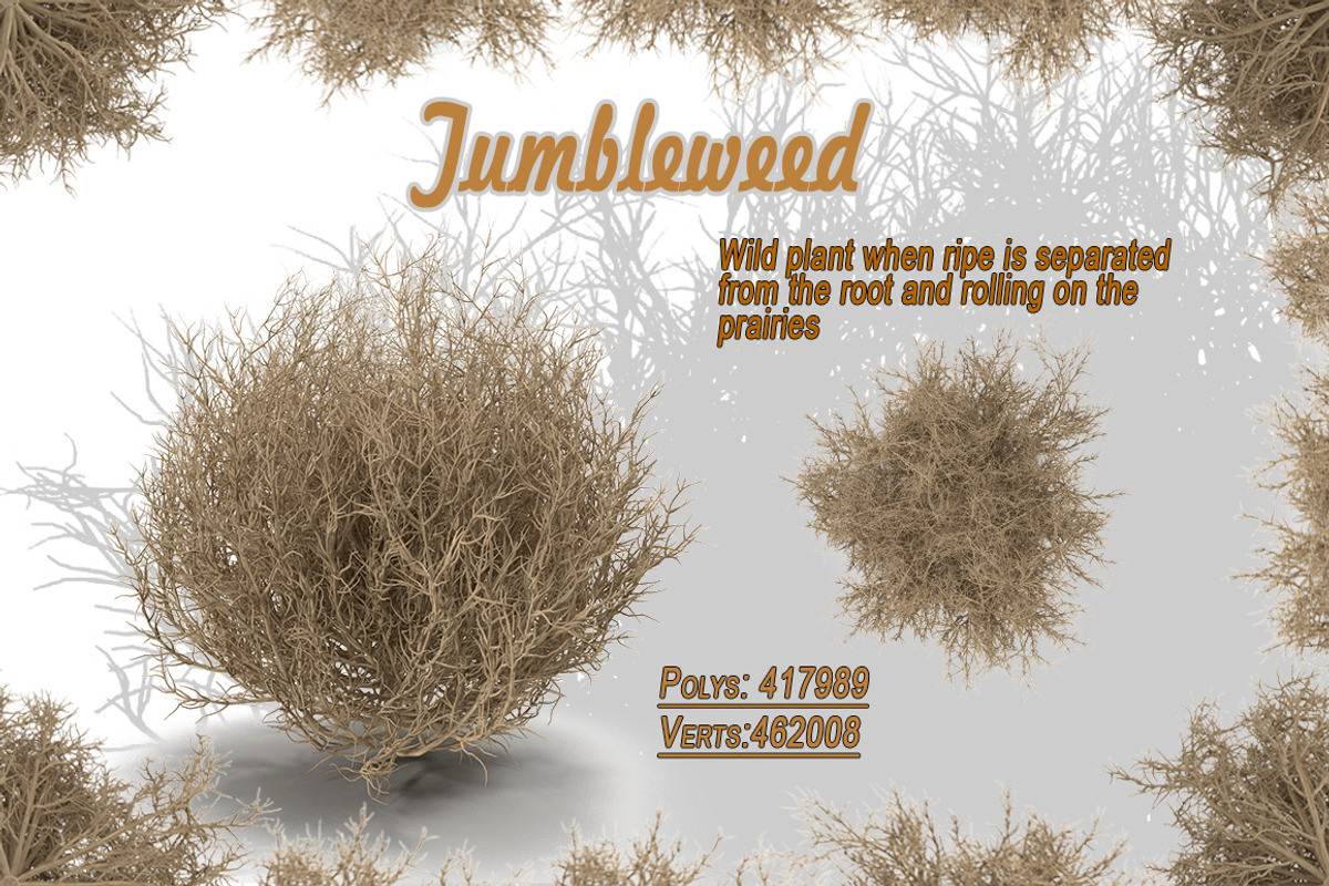 Tumbleweed, an Environmental 3D Model by AndrewWhite (Photo 2 of 9)