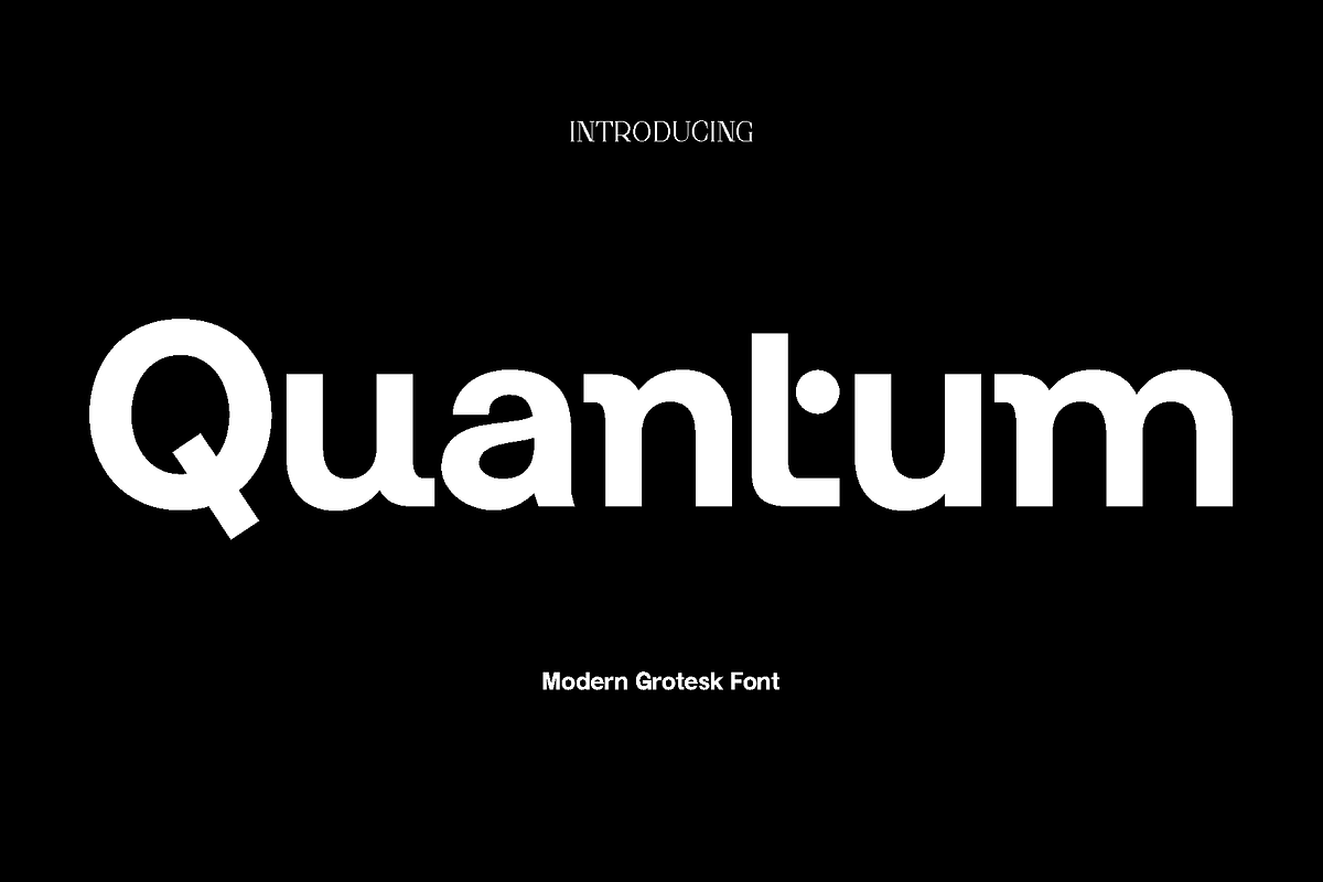 Quantum - Modern Grotesk Font, a Sans Serif Font by Luna Shop (Photo 1 of 14)