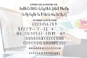 Capital | Script Font, a Handwritten Font by Scratchones (Thumbnail 7 of 9)