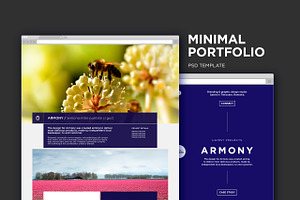 Minimal Portfolio PSD