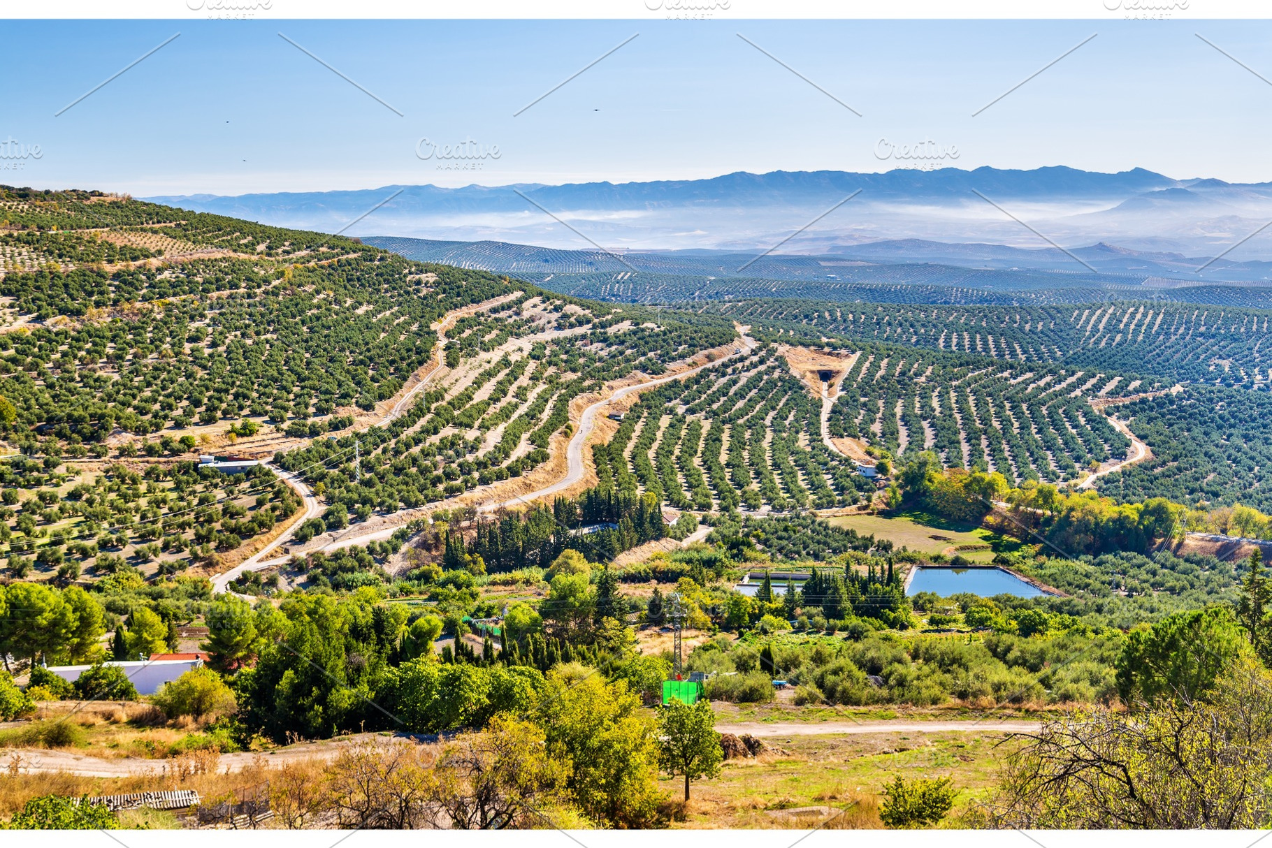 Landscape with olive fields near Ubeda - Spain, a Nature Photo by Leonid Andronov
