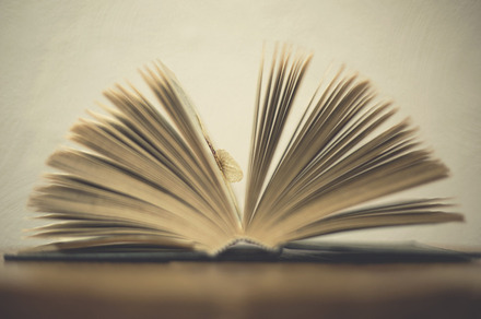 Delicate Book