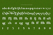Palm Vintage, a Serif Font by zaaintype (Thumbnail 11 of 11)