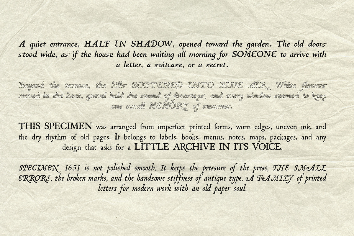 Specimen 1651: Vintage Font Family, a Serif Font by Mneme (Photo 4 of 14)