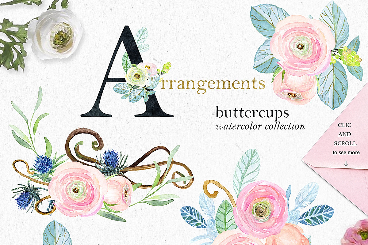 -50% Off Buttercups. Ranunculus pink, an Illustration by LABFcreations (Photo 8 of 12)