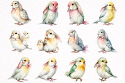 Watercolor Spring Birds Clipart, an Illustration by DreamArtGraphic (Thumbnail 5 of 8)